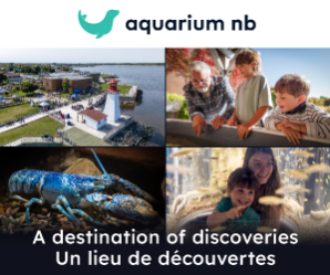 Aquarium-NB-2026-v3